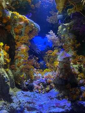 サンシャイン水族館に投稿された画像（2022/9/14）