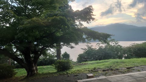 絶景日帰り温泉 龍宮殿本館 口コミ一覧 アソビュー