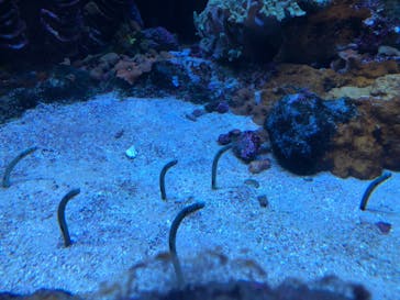 サンシャイン水族館に投稿された画像（2022/9/14）