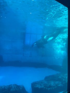 名古屋港水族館に投稿された画像（2022/9/14）