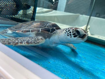 名古屋港水族館に投稿された画像（2022/9/14）