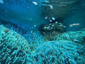 サンシャイン水族館に投稿された画像（2022/9/14）