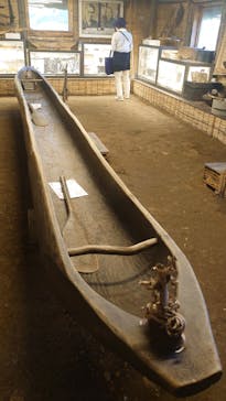 のぼりべつクマ牧場に投稿された画像（2022/9/15）