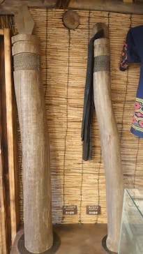 のぼりべつクマ牧場に投稿された画像（2022/9/15）