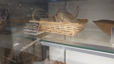 のぼりべつクマ牧場に投稿された画像（2022/9/15）