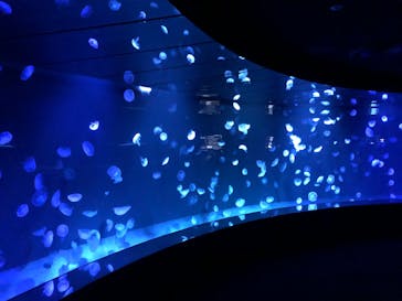 サンシャイン水族館に投稿された画像（2022/9/15）