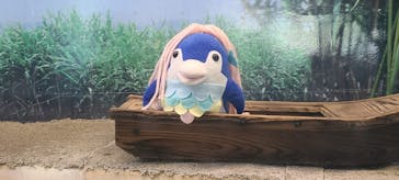 しながわ水族館に投稿された画像（2022/9/15）