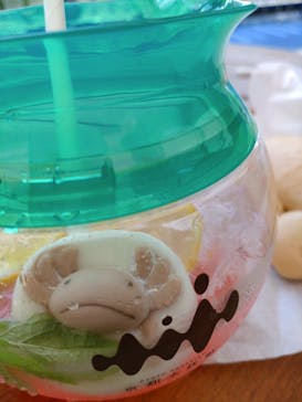 京都水族館に投稿された画像（2022/9/15）