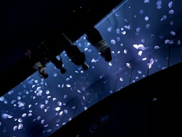 サンシャイン水族館に投稿された画像（2022/9/15）