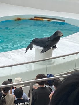 鴨川シーワールドに投稿された画像（2022/9/15）