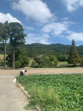 淡路ファームパーク イングランドの丘に投稿された画像（2022/9/15）