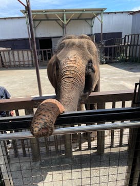 那須サファリパークに投稿された画像（2022/9/15）