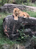 天王寺動物園に投稿された画像（2022/9/15）