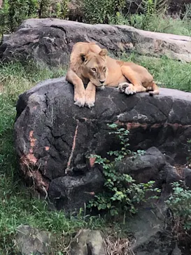 天王寺動物園に投稿された画像（2022/9/15）