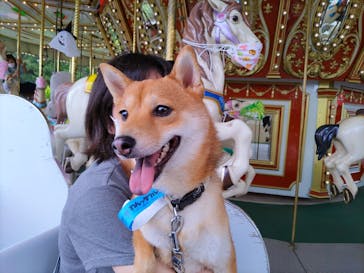 那須高原りんどう湖ファミリー牧場に投稿された画像（2022/9/15）