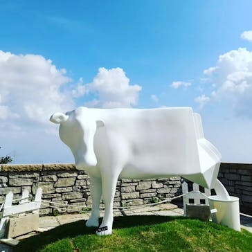 神戸六甲ミーツ・アート2025 beyondに投稿された画像（2022/9/16）