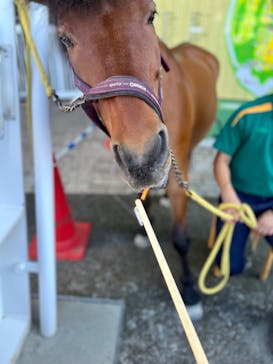 よこはま動物園ズーラシアに投稿された画像（2022/9/16）