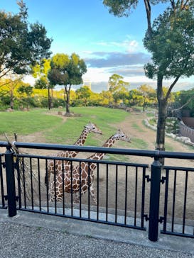 よこはま動物園ズーラシアに投稿された画像（2022/9/16）