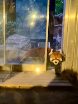 よこはま動物園ズーラシアに投稿された画像（2022/9/16）