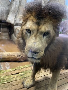 よこはま動物園ズーラシアに投稿された画像（2022/9/16）