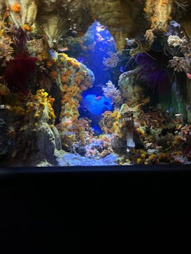 サンシャイン水族館に投稿された画像（2022/9/16）