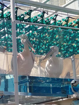 サンシャイン水族館に投稿された画像（2022/9/16）