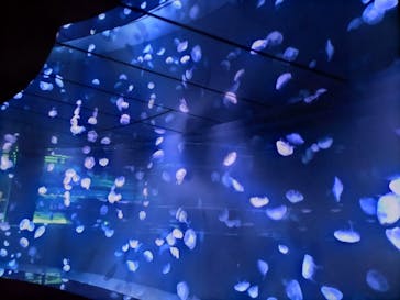 サンシャイン水族館に投稿された画像（2022/9/16）