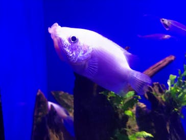 サンシャイン水族館に投稿された画像（2022/9/16）