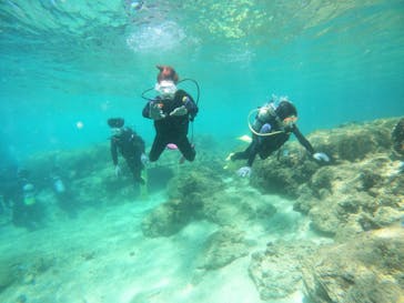 沖縄マリンサービス碧に投稿された画像（2022/9/16）