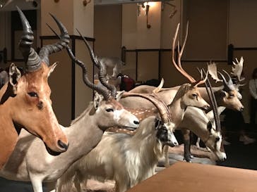 国立科学博物館に投稿された画像（2022/9/16）