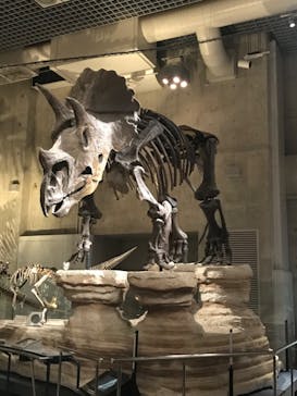 国立科学博物館に投稿された画像（2022/9/16）