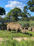 よこはま動物園ズーラシアに投稿された画像（2022/9/16）