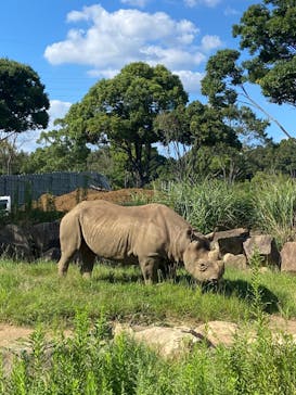 よこはま動物園ズーラシアに投稿された画像（2022/9/16）