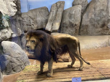 よこはま動物園ズーラシアに投稿された画像（2022/9/16）