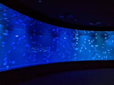 サンシャイン水族館に投稿された画像（2022/9/16）