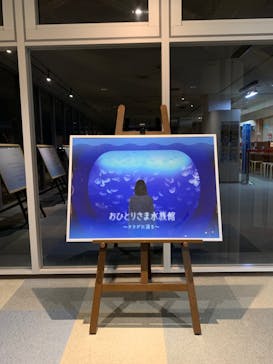 新江ノ島水族館に投稿された画像（2022/9/16）