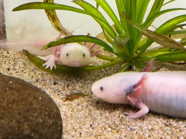 サンシャイン水族館に投稿された画像（2022/9/16）