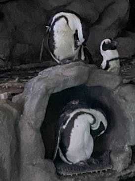 サンシャイン水族館に投稿された画像（2022/9/16）