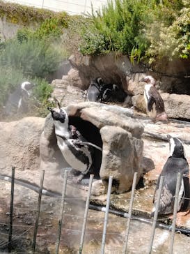 サンシャイン水族館に投稿された画像（2022/9/16）
