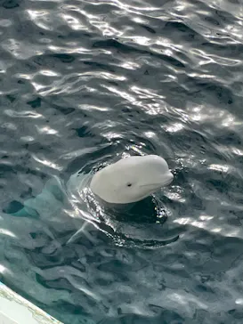 横浜・八景島シーパラダイスに投稿された画像（2022/9/16）