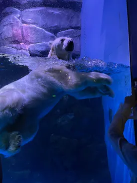 横浜・八景島シーパラダイスに投稿された画像（2022/9/16）