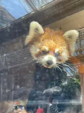 横浜・八景島シーパラダイスに投稿された画像（2022/9/16）