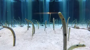 すみだ水族館に投稿された画像（2022/9/16）