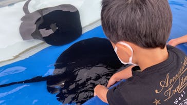 大分マリーンパレス水族館 「うみたまご」に投稿された画像（2022/9/17）