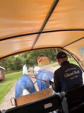 ノーザンホースパークに投稿された画像（2022/9/17）