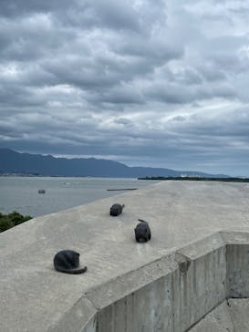 滋賀県立琵琶湖博物館に投稿された画像（2022/9/17）