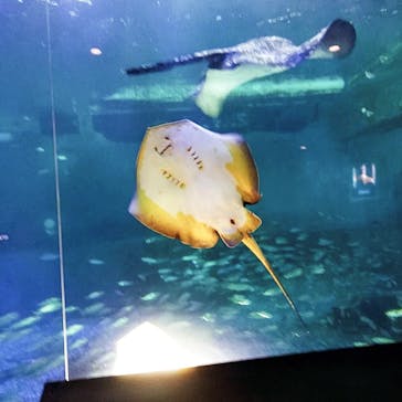 南知多ビーチランド＆南知多おもちゃ王国に投稿された画像（2022/9/17）