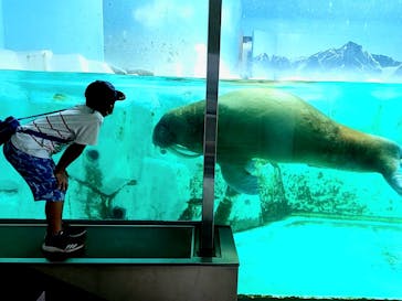 南知多ビーチランド＆南知多おもちゃ王国に投稿された画像（2022/9/17）