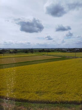 成田の命泉　大和の湯に投稿された画像（2022/9/17）