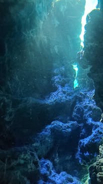 サンシャイン水族館に投稿された画像（2022/9/17）